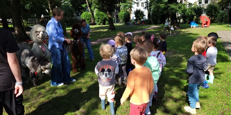 Powiększ grafikę: spotkanie-z-alpakami-634947.jpg